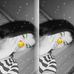Daisy Petrov - Facebook