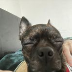 Daisy Petrov - Facebook