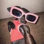 klowee - @daisypettywitty - Instagram