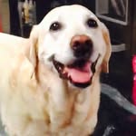 Lola - @lolatrudydaisymaypetty - Instagram