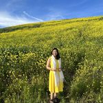 Daisy Cuc Pham - @daisyphamusa - Instagram