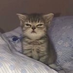 Daisy Phạm - @pgiaotien - Instagram