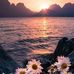 Daisy Phung - Facebook