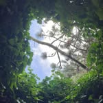 Daisy_piano - @daisypiano.1 - Instagram
