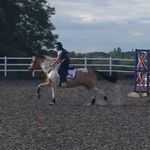Daisy Boo Pickering - @eventing_goldie_2017 - Instagram