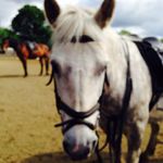Daisy Pickering - @daisy_love_rolly_xx - Instagram