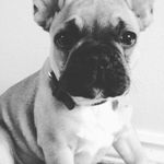 daisy pike - @daisy_pike - Instagram