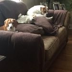 Daisy Pike - @pike_daisy - Instagram
