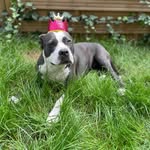 @daisy.pittie - Instagram