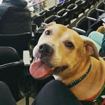 Daisy Hutto - @daisy_pitty - Instagram