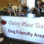 Daisy Place - @daisy_place - Instagram