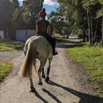 Daisy Place - @placedaisy3 - Instagram