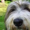 Daisys Place - @daisysplace8 - TikTok