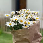 Daisy’s Place, Daylesford - @daisysplace.au - Instagram