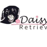 Daisy's Place Retriever Rescue - @daisysplacerescue - Instagram
