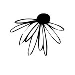 Daisy Links || Rexburg, ID Plant & Home Emporium - @houseofivyshop - Instagram