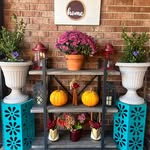 Daisy Noor - @daisy.plants_crafts - Instagram