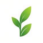 Daisy plant store - @local_nurseries - Instagram