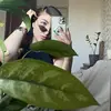 daisy_plants - @daisy_plants - TikTok