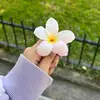 daisyflowerforyou - @daisyplantlove - TikTok