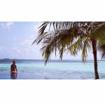 DaisyPlantKitchen - @daisyplantkitchen - Instagram