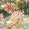 daisy..that.plant..fairy - @daisy..that.plant..fairy - TikTok