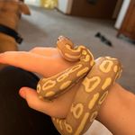 Daisy Plante - @hehe12345678965 - Instagram