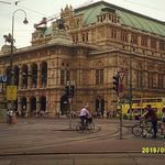 Daisy Planter - @daisyplanter - Instagram