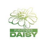 Plantenbieb Daisy - @plantenbieb.daisy - Instagram