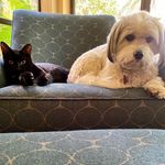 Daisy and Poe - @daisy_and_poe - Instagram