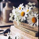 Maryse Robichaud - @daisy_poesie - Instagram