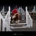 Daisy Pollard - @willianthehorse - Instagram
