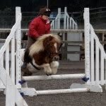 Daisy Pollard - @williamthepony - Instagram