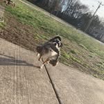 Daisy Poole - @daisypoole3 - Instagram