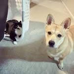 Daisy Poon - @daipot98 - Instagram