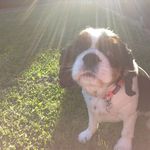 Daisy 🐾 - @daisy.porter - Instagram