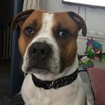 Daisy marley porter - @daisymarleyporter - Instagram