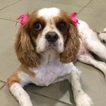 Daisy Porter🐾 - @daisyporter01 - Instagram