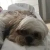 daisyporter - @daisyporter7 - TikTok