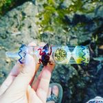 daisy potts - @daisy_potts420 - Instagram