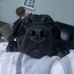 Daisy Powell - @daisy.mae.powell - Instagram
