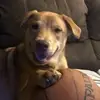 daisypowell211 - @daisypowell211 - TikTok