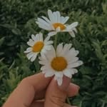 Daisy🌼 - @daisy_prasad99 - Instagram