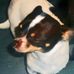 Daisy Mae Prescott - Facebook