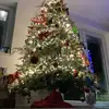 Daisy Price - @daisy.price4 - TikTok