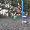 Daisy Price - @daisy.price19 - TikTok