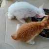 Daisy Primero - @daisy.primero0 - TikTok
