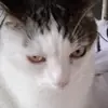 daisyprinces2 - @daisyprinces2 - TikTok