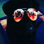 Daisy_pryors_pets - @daisys_pryors_pets - Instagram