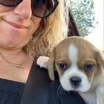 Daisy - @daisy_pugalier_20thjan2022 - Instagram